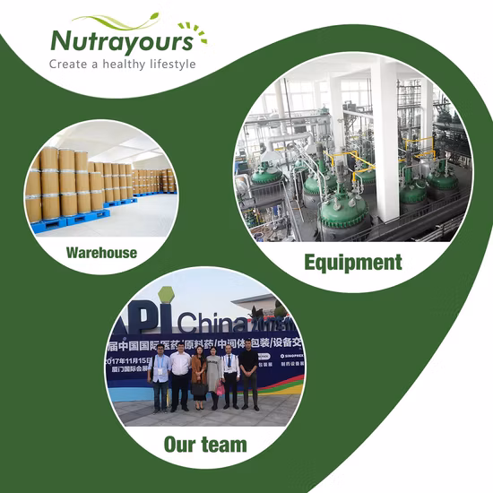 Erba cinese Dangki Dangki Sinensis Radix Erba Dangki cruda dalla Cina